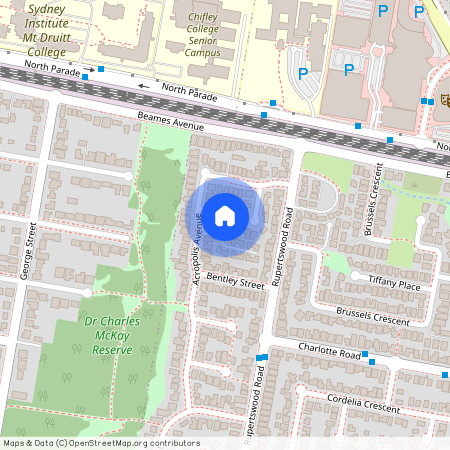 8 Theodore Place Rooty Hill