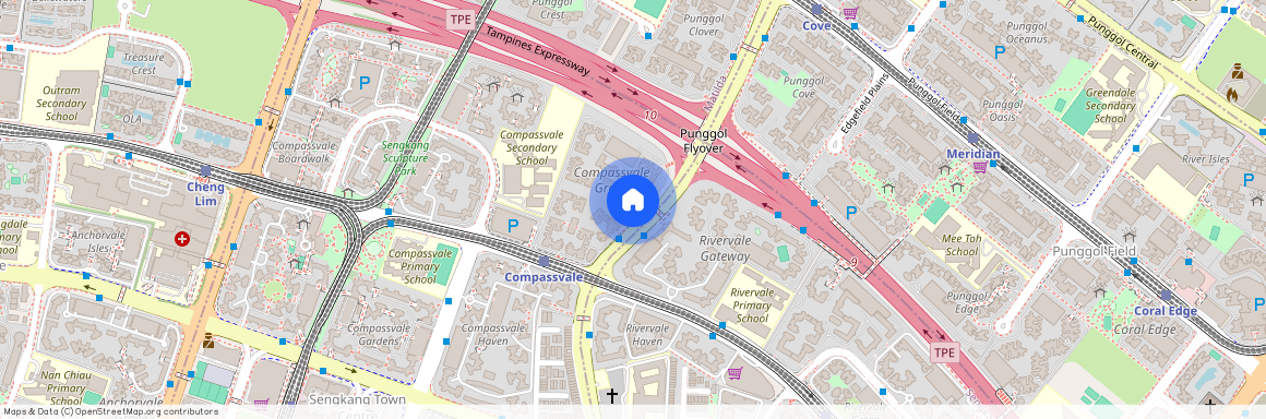 298B Compassvale Street (542298), Singapore