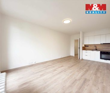 Pronájem bytu 1+kk a garsoniéry 30 m², Nový Bohumín, Bohumín - Fotografie 1