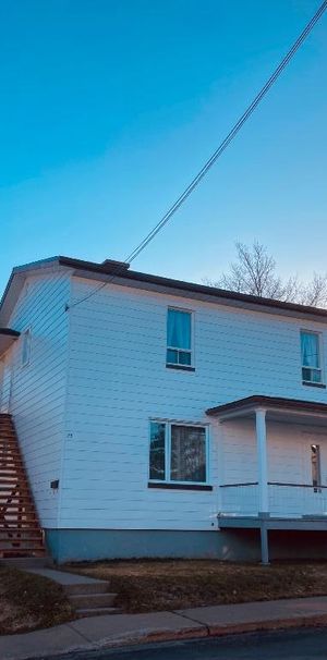 Semi-meublé 4 1/2 Vieux Lévis - Photo 1