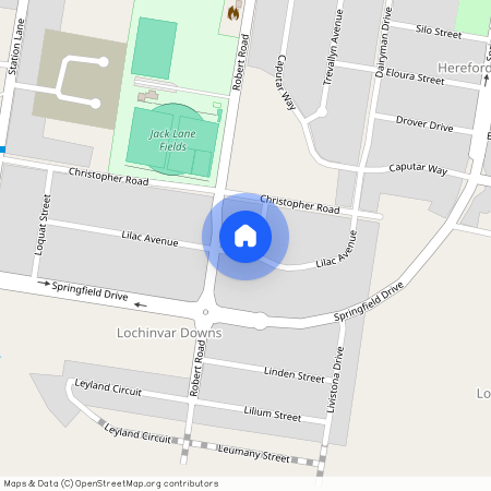 33a Lilac Ave, NSW 2321, Lochinvar