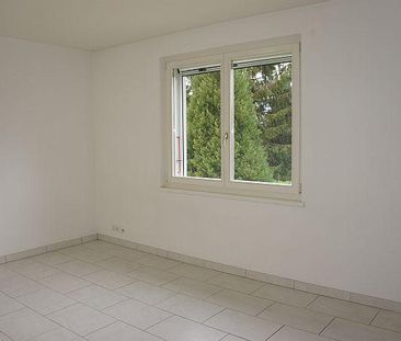 Maison à louer, Chemin Edouard-Sarasin, à Le Grand-Saconnex, Suisse - Foto 5