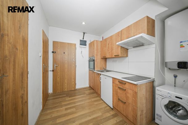 Pronájem bytu 2+1 v osobním vlastnictví 47 m², Brno - Photo 1