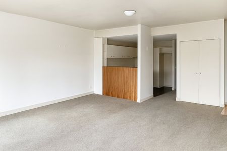 SPACIOUS APARTMENT IN THE HEART OF CARLTON - Photo 3