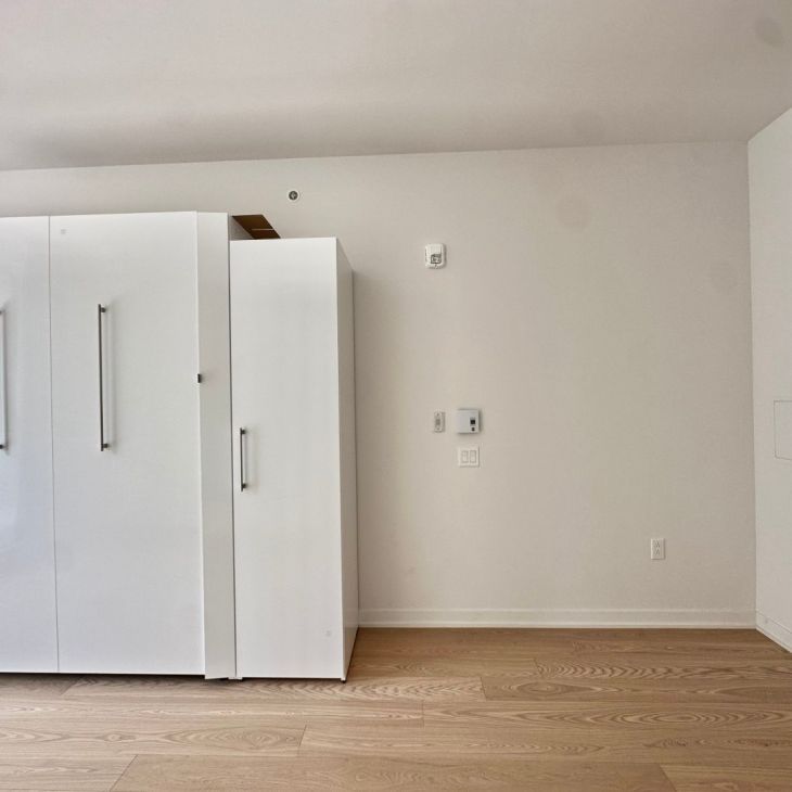 Appartement à louer - Montréal (Le Sud-Ouest) (Griffintown) Appartement à louer - Montréal (Le Sud-Ouest) (Griffintown) - Photo 1