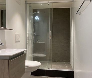 7-room apartment with deck terrace and 2 parking spaces in Vésenaz - Foto 5