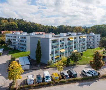 1.5 Zimmerwohnung in Düdingen zu vermieten! - Foto 4