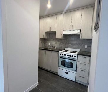 1 CH - 1 SDB - Montréal - $1,350 /mo - Photo 4