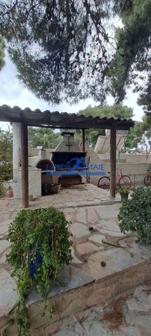 Μονοκατοικία για ενοικίαση Άγιος Νικόλαος (Αρτέμιδα (Λούτσα)) - Photo 5