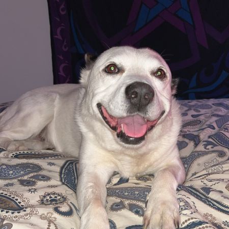 Andrews Farm - Photo 4