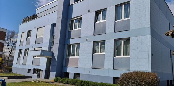 Charmante 1-Zimmerwohnung in Zuchwil - Photo 2