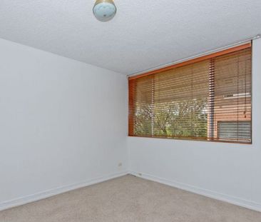 Light and privacy with extra large proportions - Photo 5