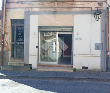 Trilocale in affitto - Photo 3