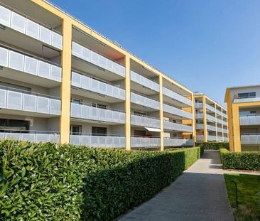 Grosszügiges Wohnen für Sie und Ihre Familie! - Foto 2