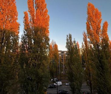 Siegestor / Engl. Garten, Luxusappartement / Möbliert / U-Bahn - Foto 5
