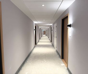 For Lease - 35 Parliament Street Unit# 912, Toronto, Ontario - Photo 3