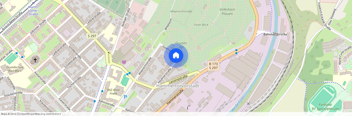 Heubnerstraße 49, 08523 Plauen