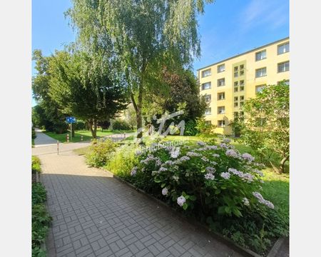 Szczecin - Фото 5