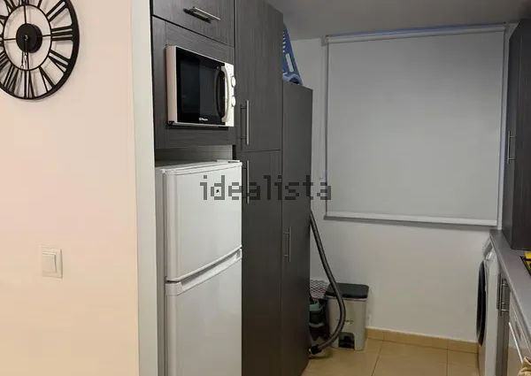 Alquiler de piso en Avenida Alcalde Pedro Roca Vera