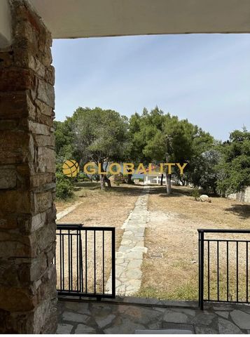 Μονοκατοικία 125 τ.μ. προς ενοικίαση - Photo 3