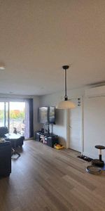 5 1/2 neuf 2024- Gym, piscine, internet & Électros inclus - Cession de bail - Photo 4