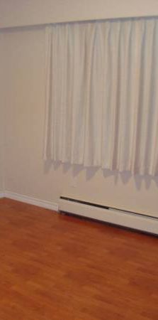 Large Renovated One Bedroom Suite in Mt Pleasant (Main & 12th) - Photo 1