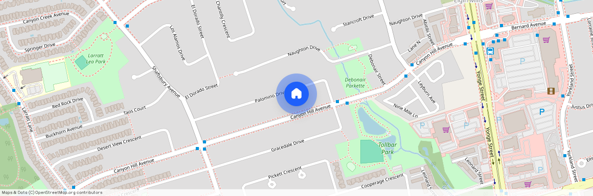 37 Palomino Drive Unit# Bsmt, Richmond Hill