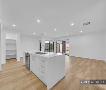 Immaculate Brand-New Family Home!! - Photo 3