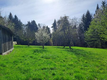 Landwirtschaft Nähe Graz mit Mietkaufoption - Ideal für Pferdehaltung! - Foto 2