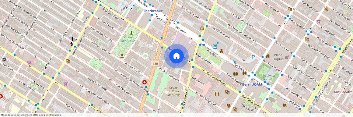 2060 Rue St-Denis #301, Ville-Marie (Montréal), H2X3K8