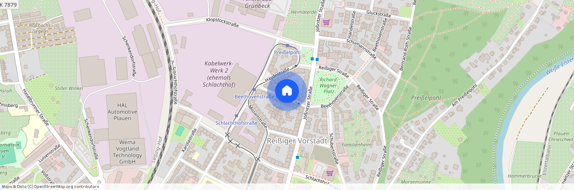 Beethovenstraße 11, 08525, Plauen