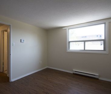 285 Loretta Ave S, Hintonburg - Mechanicsville, Ottawa, ON - Photo 2