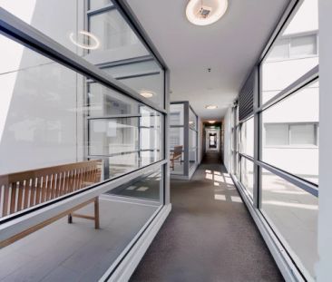 Standard Studio - Photo 4