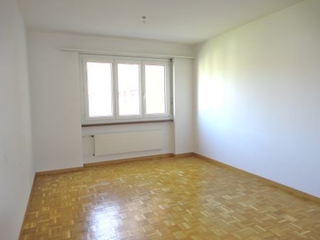 3.5 Zimmerwohnung in Oberengstringen - Foto 3