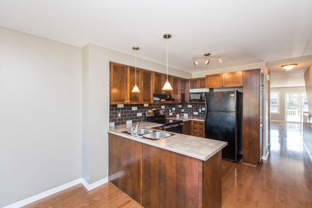 For Lease - 146 Berrigan Drive, Barrhaven, Ontario - Photo 1
