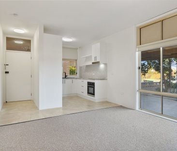 Neat and Convenient One-Bedroom Unit in Central Lavington - Photo 3