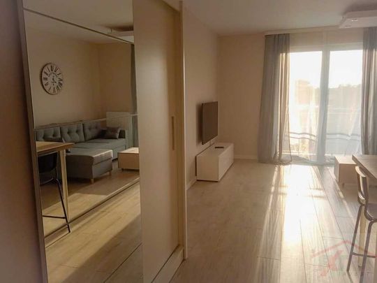 APARTAMENT 1 POKÓJ Z BALKONEM !!! (395675) - Zdjęcie 1