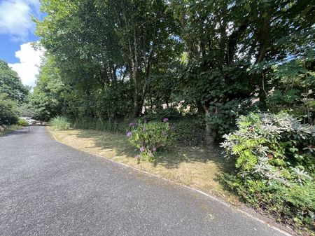 Browns Hill - Penryn - Photo 4