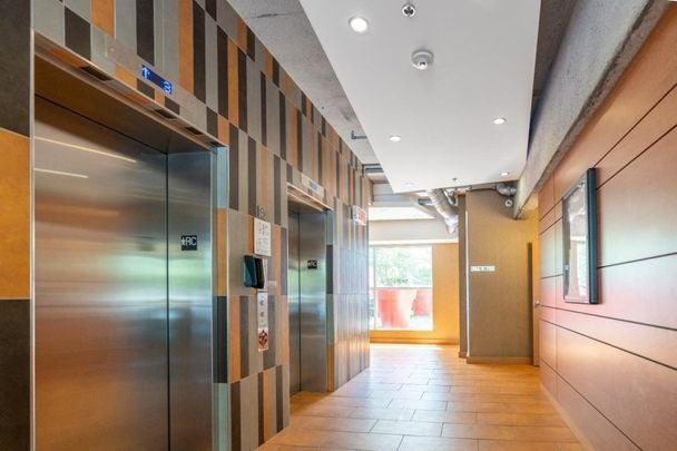 Appartement à louer - Montréal (Ville-Marie) (Centre Ouest) - Photo 1