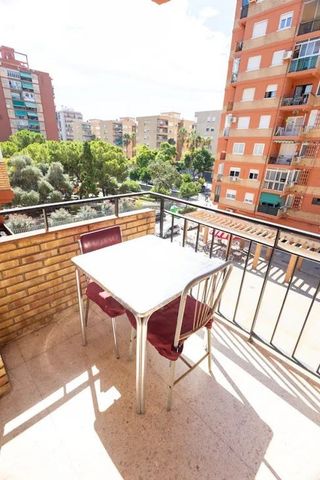 Plaça del Cedre, Valencia, Valencian Community 46022 - Photo 4