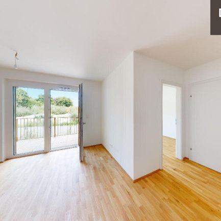 / BALKON / 2 ZIMMER / ZWEITBEZUG / VERFÜGBAR AB SOFORT / GUTE AUFTEILUNG - Foto 1