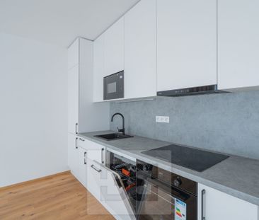 Apartment for rent, 1+KK - Studio, 43m - Photo 4