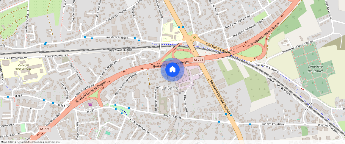 CLERMONT FERRAND (63100)