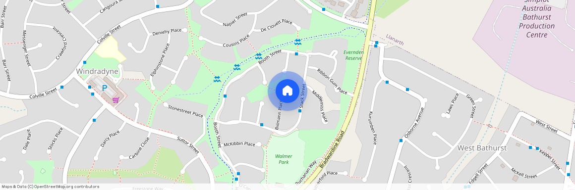 46 Biilmann Place, 2795, Windradyne Nsw