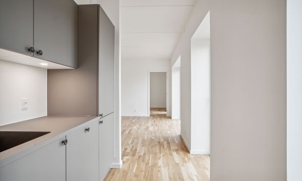 Fløjhusene - Bygning E - Lys 3-værelses lejlighed i høj kvalitet med altan - Photo 1