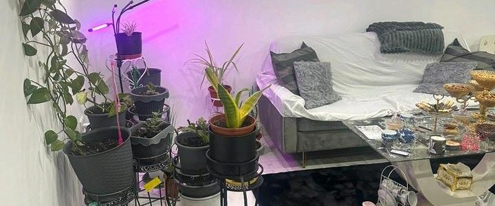 Vermiete schöne 2-Zimmer-Wohnung / Souterrain - Foto 1