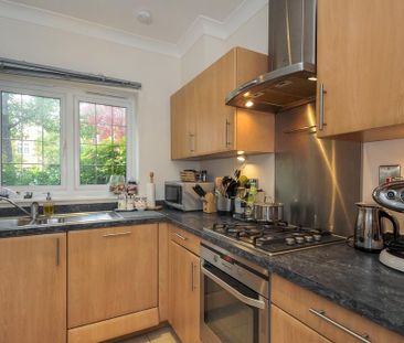 4 bedroom terraced house to rent - Photo 6