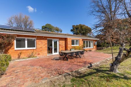 49 Holman Street, Curtin ACT 2605 - House For Rent | Domain - Photo 4