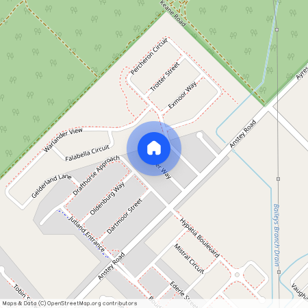 19 Noriker Way, Forrestdale