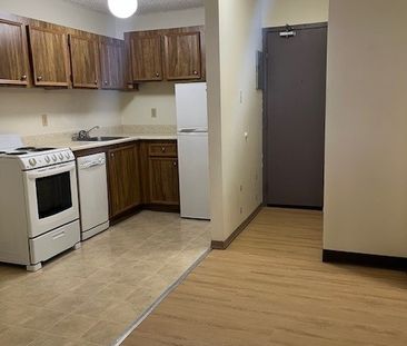 1 BDRM/1 BATH - 115 3RD AVE S - Available NOW - Photo 3